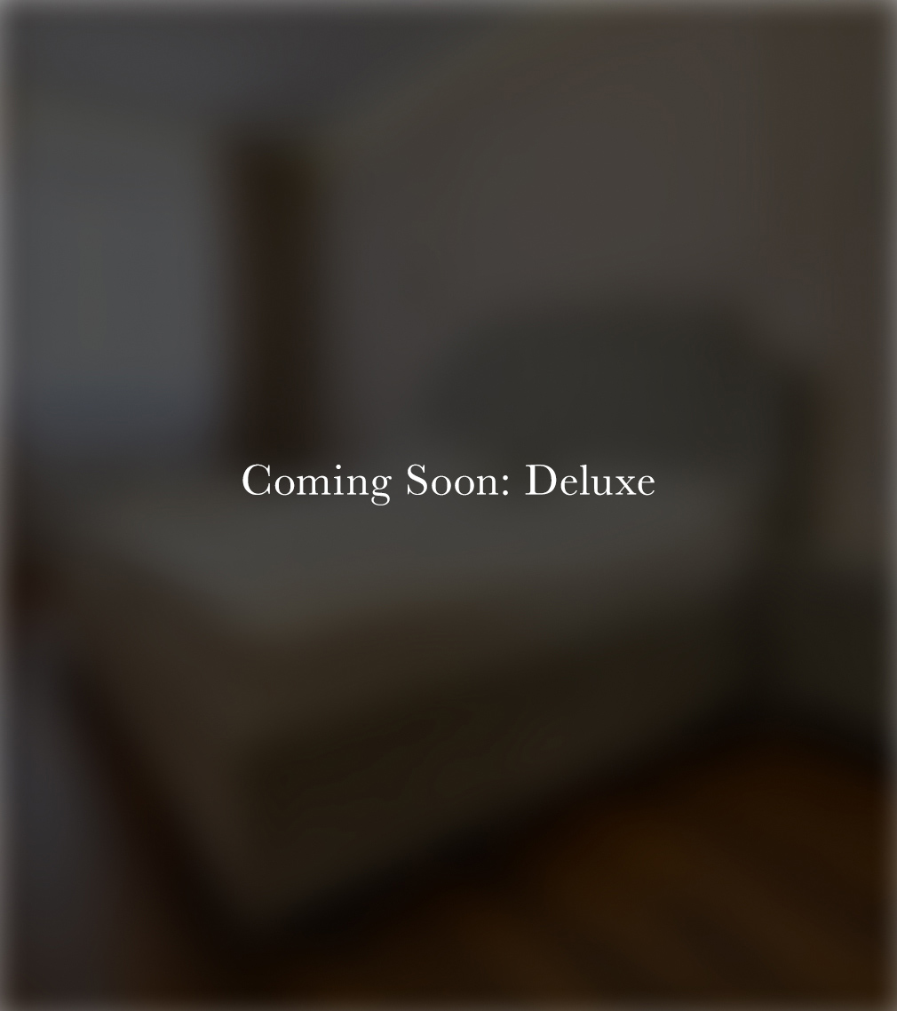 Deluxe Suite floor plan preview