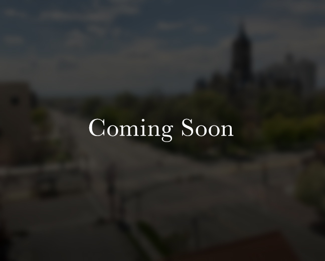 Downtown Salt Lake City view